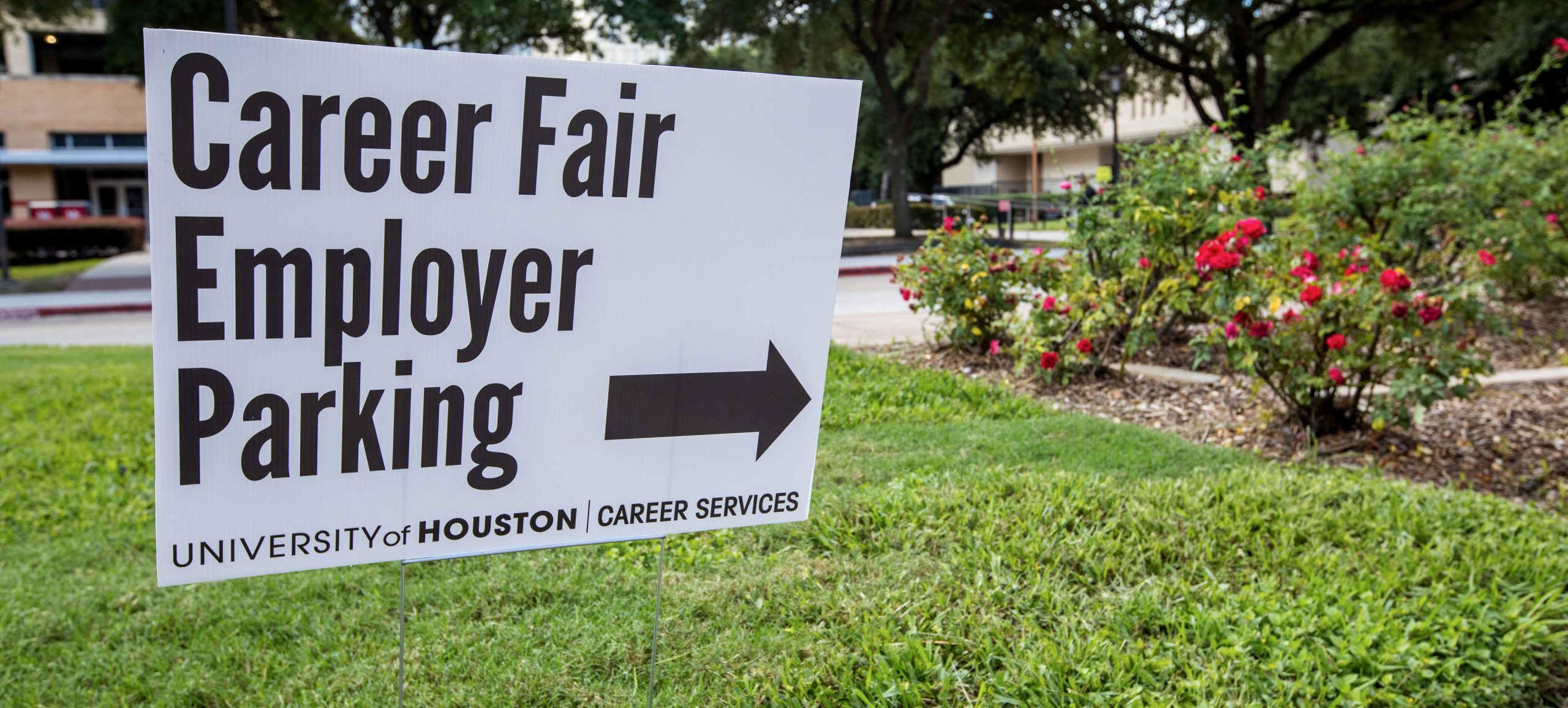 Petroleum engineering professional, temporarily unemployed